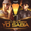Yo Sabia