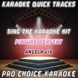 Karaoke Quick Tracks : Picture Perfect (karaoke Version)