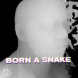 Born A Snake