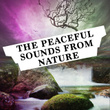 The Peaceful Sounds from Nature