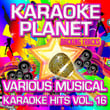 Various Musical Karaoke Hits, Vol. 16