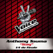Stay - The Voice 2