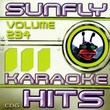 Sunfly Hits: Vol.  234