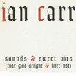 Sounds And Sweet Airs (that Give Delight & Hurt Not)