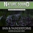 Rain & Thunderstorms (Eastern Woodland Forest)