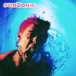 Subzonic