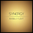 Invisible Flight