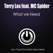 What We Need (feat. Mc Spider)