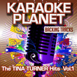 The Tina Turner Hits, Vol. 1