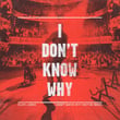 I Don't Know Why (Vertue Remix) [Radio Edit]