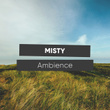 # 1 Album: Misty Ambience