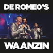 Waanzin