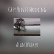Grey Velvet Morning