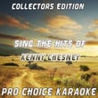 Sing The Hits Of Kenny Chesney (karaoke Version)