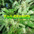 Too Stoned
