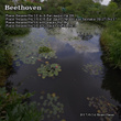 Beethoven: Piano Sonata No. 12, 13, 15, 16