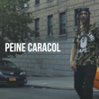 Peine Caracol