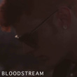 Bloodstream