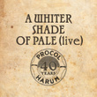 A Whiter Shade Of Pale