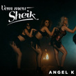 Vem Meu Sheik