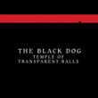Temple Of Transparent Balls