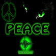 Peace