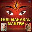 Shri Mahakali Mantra - Single