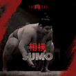 Sumo