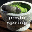Pesto Spring (vocal Deephouse Music)