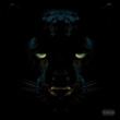 Black Panther