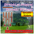 Dźwięki Przyrody do Medytacji: Dźwięki ze świątyni z Dzwonki Wietrzne: Specjalne Wydanie