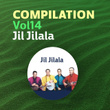 Compilation, Vol. 14