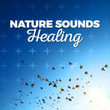 Nature Sounds: Healing