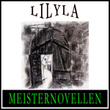 Meisternovellen 22