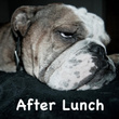 After Lunch