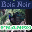 Bois Noir