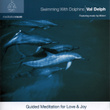 Swimming With Dolphins - Meditation Room