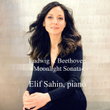 Beethoven: Moonlight Sonata