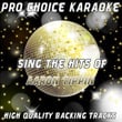Sing The Hits Of Aaron Tippin (karaoke Version)
