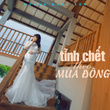 Tinh Chet Theo Mua Dong