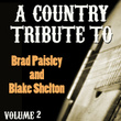 A Country Tribute To Brad Paisley And Blake Shelton Vol. 2