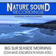 Big Sur Seaside Morning (Ocean Waves, Song Birds & The Natural World)