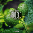 Bubenci