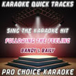 Karaoke Quick Tracks : Following The Feeling (karaoke Version)