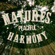 Nature's Peaceful Harmony