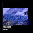 # 1 Album: Tranquil Bliss