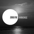 # 1 Album: Soulful Ambience