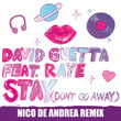 Stay (Don't Go Away) [feat. Raye] [Nico De Andrea Remix]