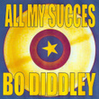 All My Succes : Bo Diddley