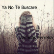 Ya No Te Buscare
